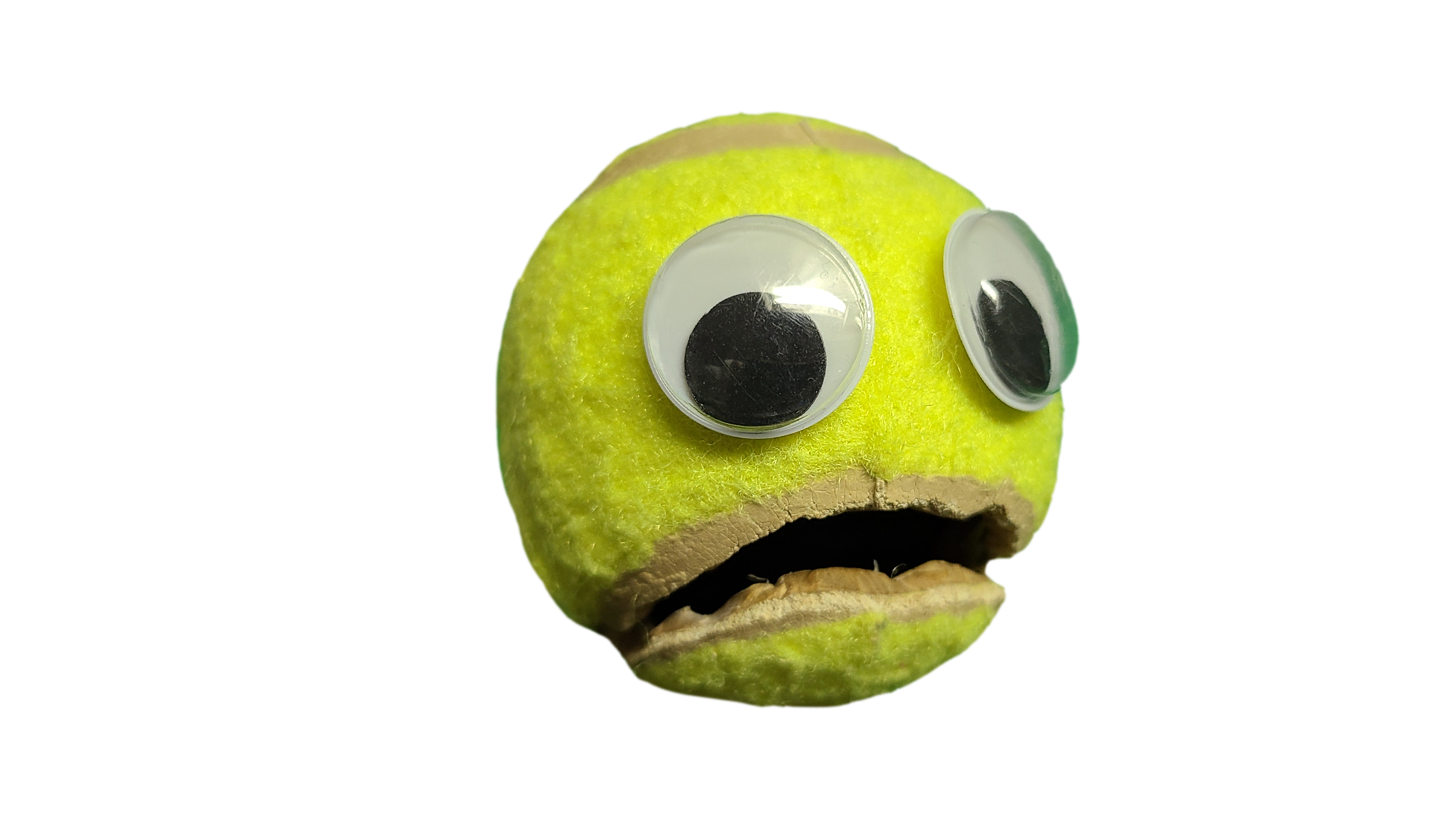 ZainReborn logo — Mr. Tennis Ball
